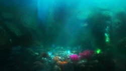 1 Product Animated Scenes deep sea