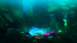 2 Product Animated Scenes deep sea