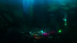 3 Product Animated Scenes deep sea